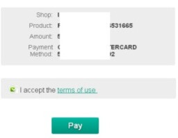 epayment24 | شارژ وب مانی ، مراحل شارژ حساب webmoney